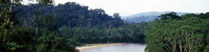 Une rivière traversant l'amazonie